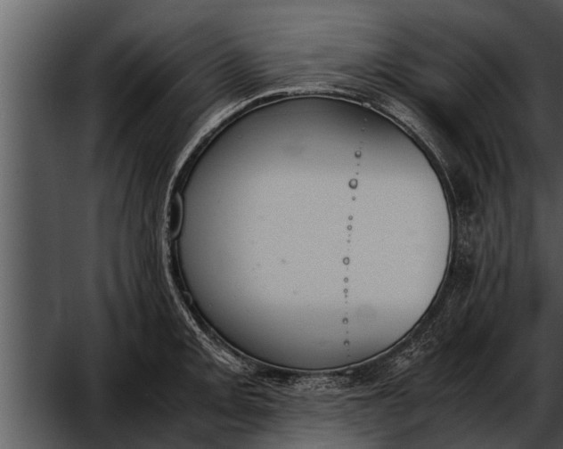 X0000052611093200507160031