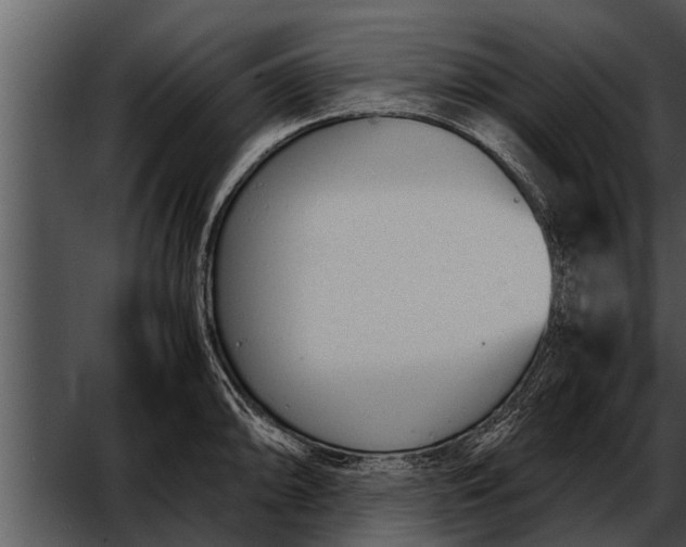 X0000052611094200507160031