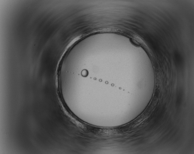 X0000052611095200507160031