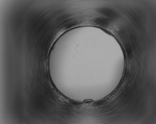 X0000052611097200507160031