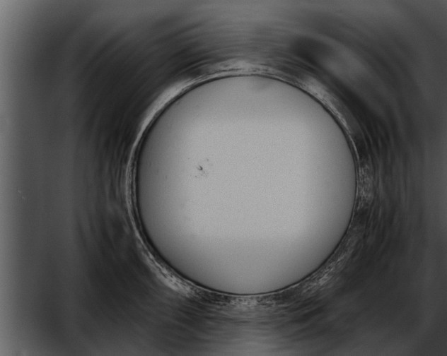 X0000052611098200507160031