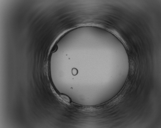 X0000052611100200507160031