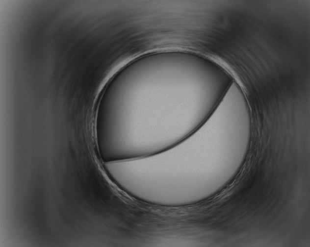 X0000052611101200507160031