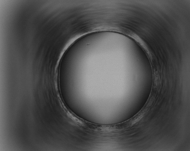 X0000052611102200507160031