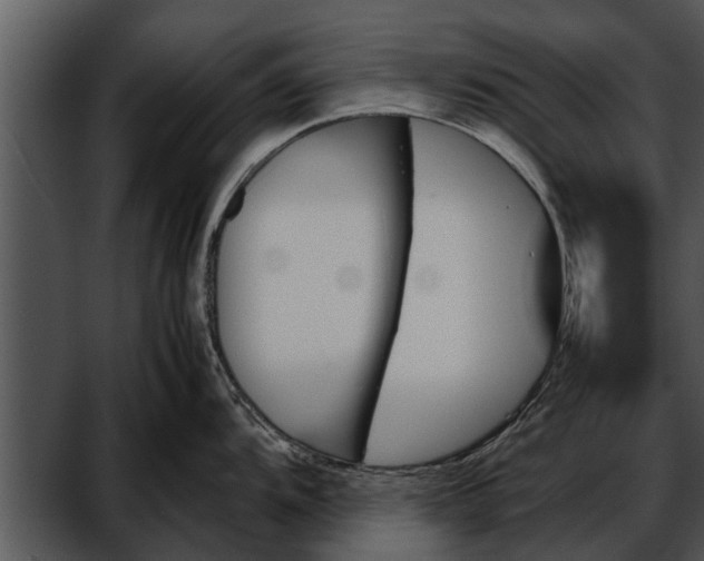 X0000052611104200507160031