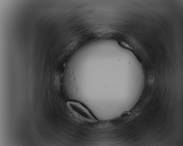 X0000052611108200507160030