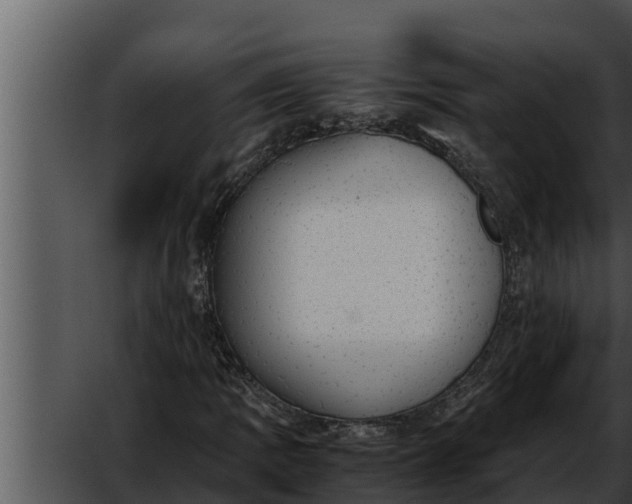 X0000052611109200507160030