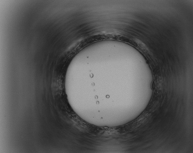 X0000052611110200507160030