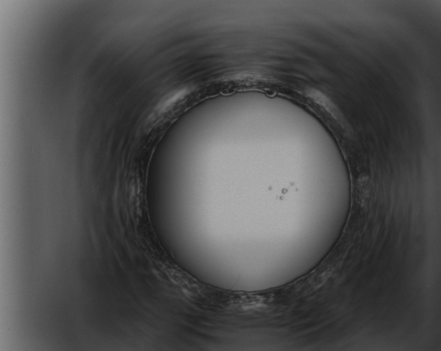 X0000052611111200507160030