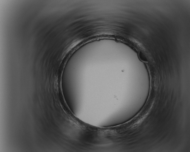 X0000052611113200507160030