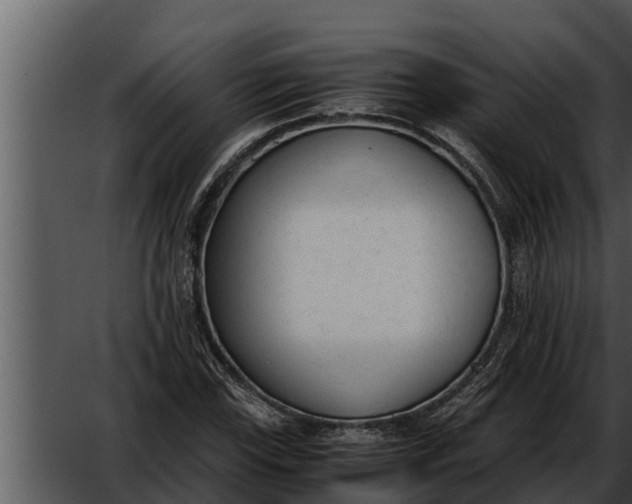 X0000052611115200507160030