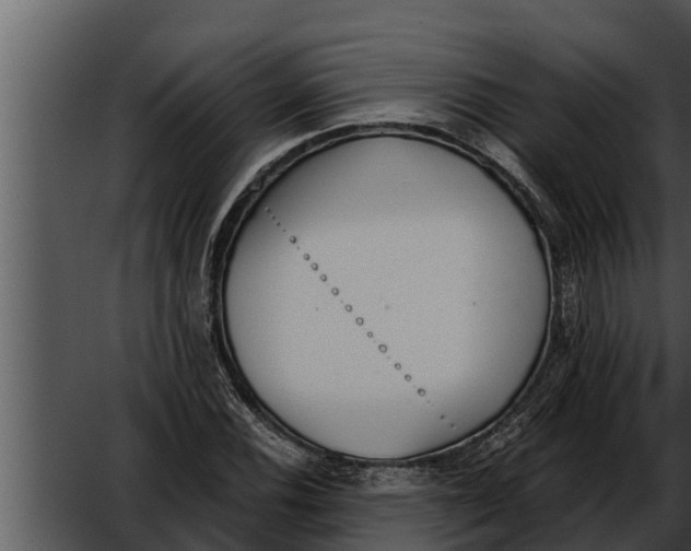 X0000052611116200507160030