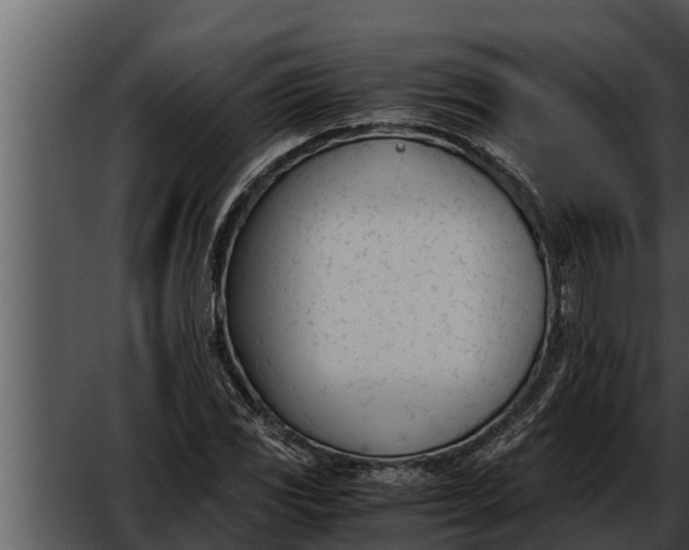 X0000052611117200507160030