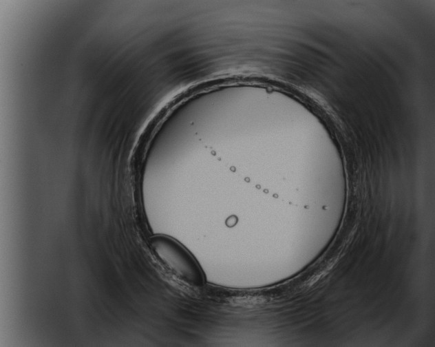 X0000052611118200507160030