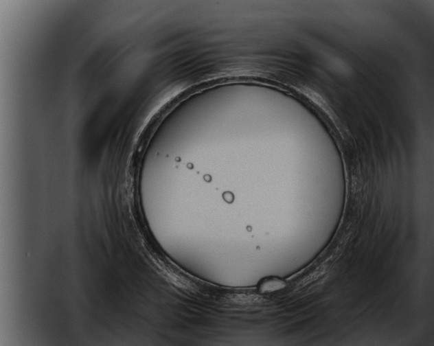 X0000052611119200507160030