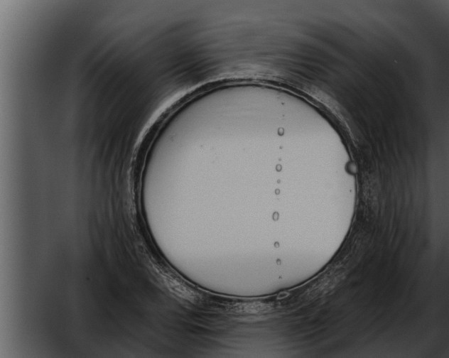 X0000052611120200507160030