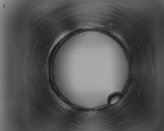 X0000052611122200507160030