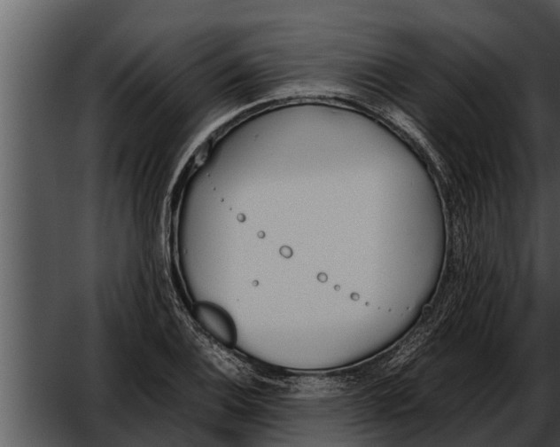 X0000052611124200507160030