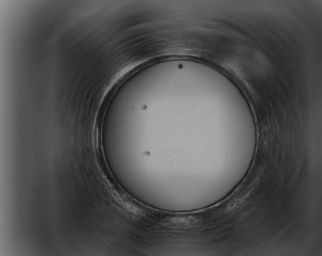 X0000052611125200507160030