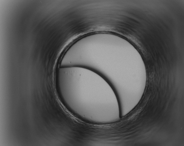 X0000052611126200507160030