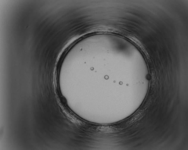 X0000052611128200507160030