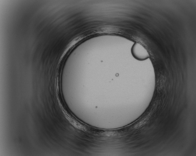 X0000052611130200507160030