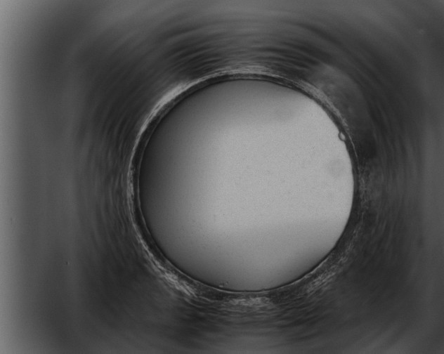 X0000052611133200507160030