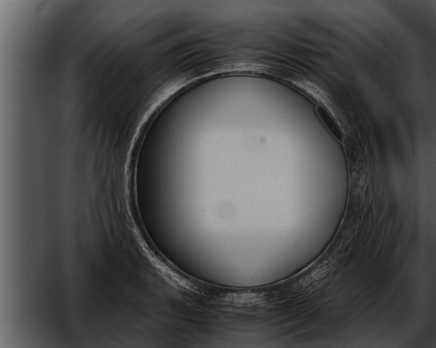 X0000052611135200507160030