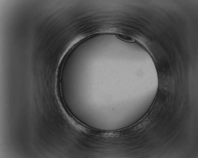 X0000052611139200507160030