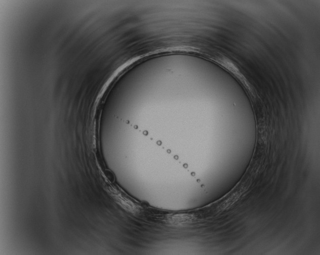 X0000052611140200507160030