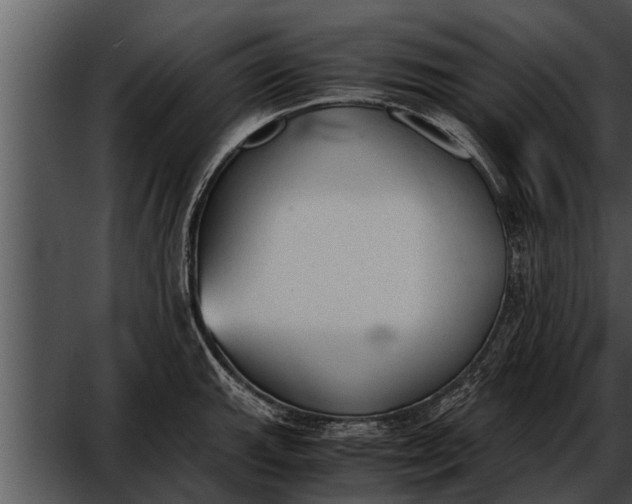 X0000052611143200507160030