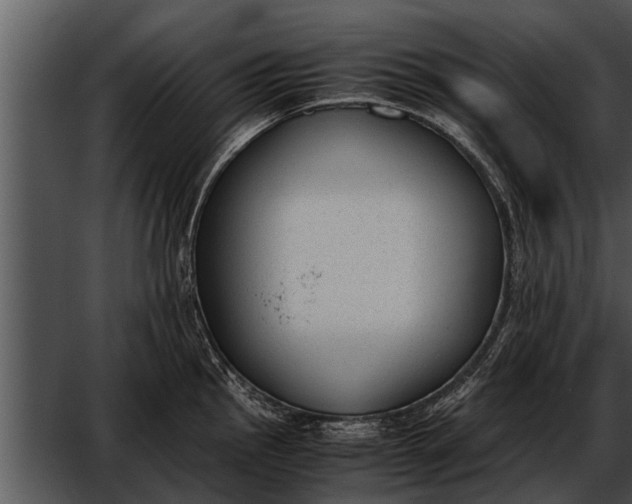 X0000052611145200507160030