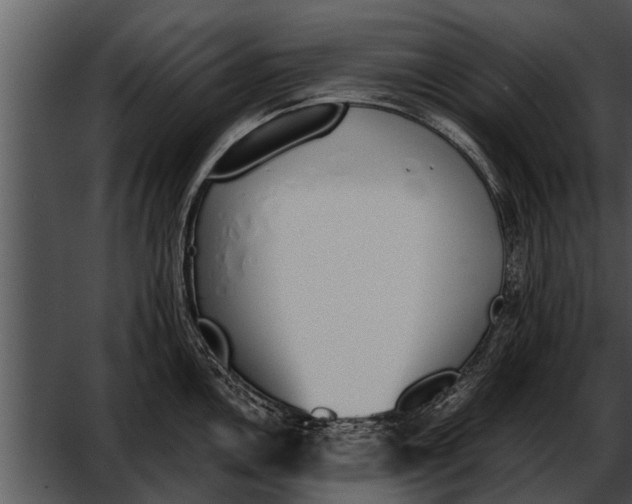 X0000052611146200507160030