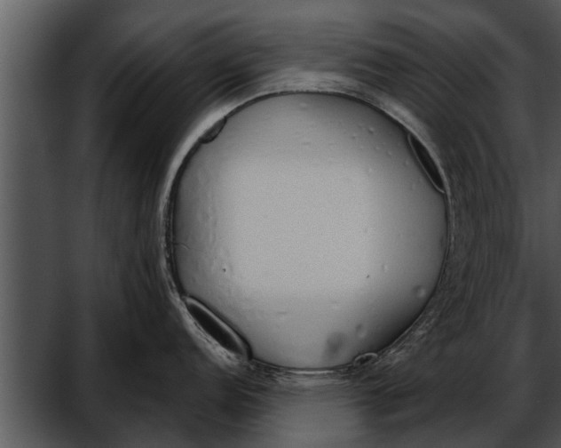 X0000052611152200507160031