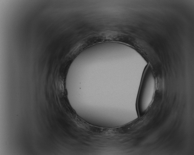 X0000052611155200507160030