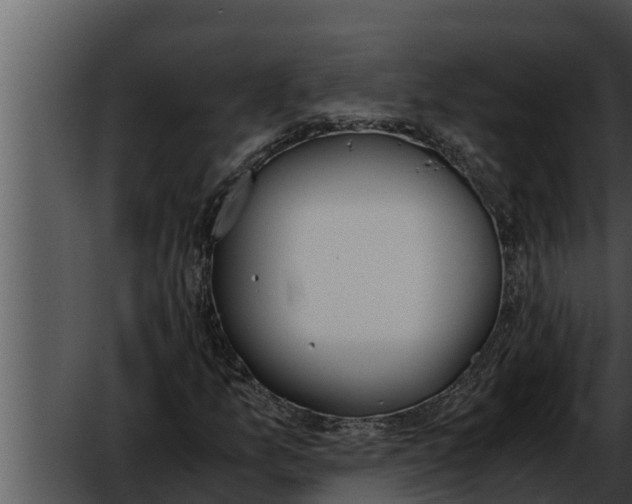 X0000052611157200507160030