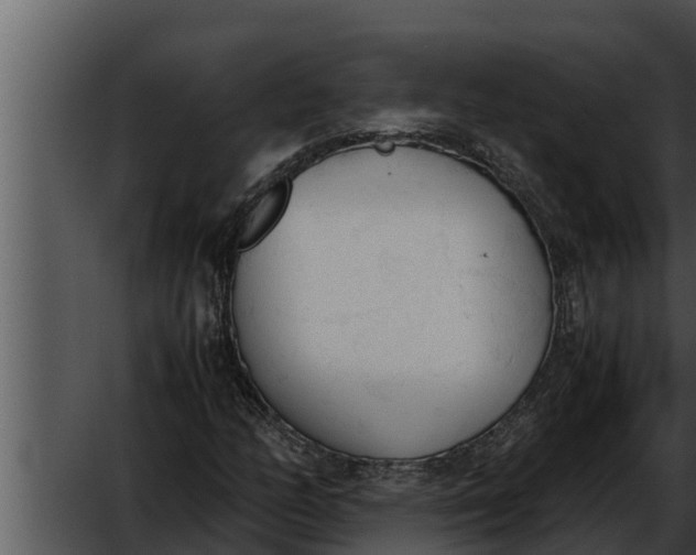 X0000052611158200507160030