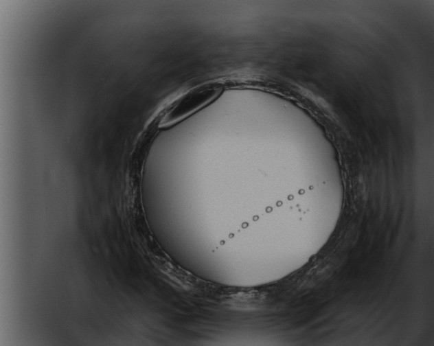 X0000052611160200507160030