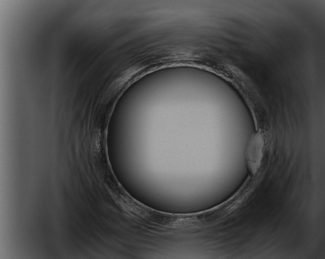 X0000052611161200507160030