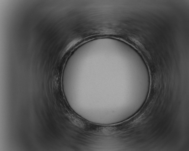 X0000052611163200507160030