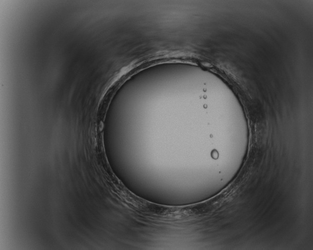 X0000052611165200507160030