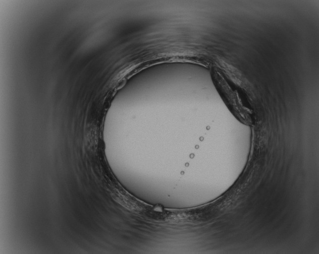 X0000052611169200507160029