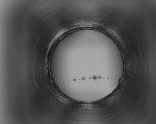 X0000052611172200507160029