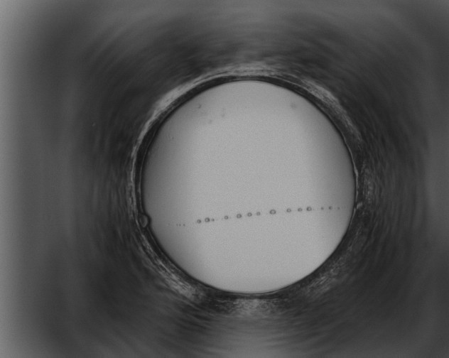 X0000052611176200507160029