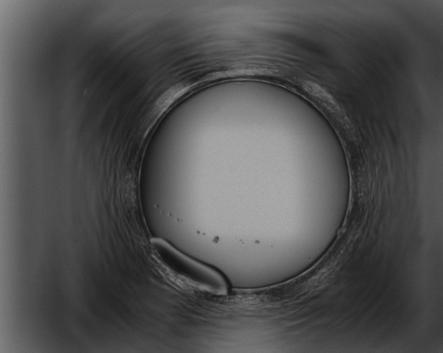 X0000052611177200507160029