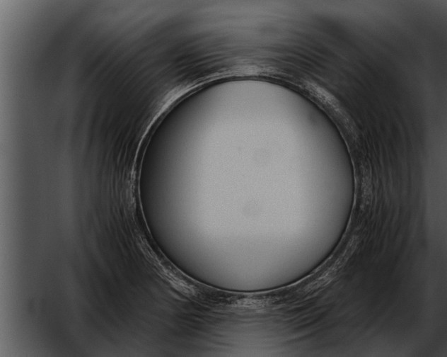 X0000052611178200507160029