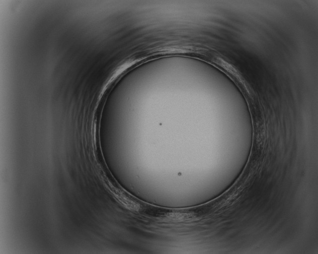 X0000052611179200507160029