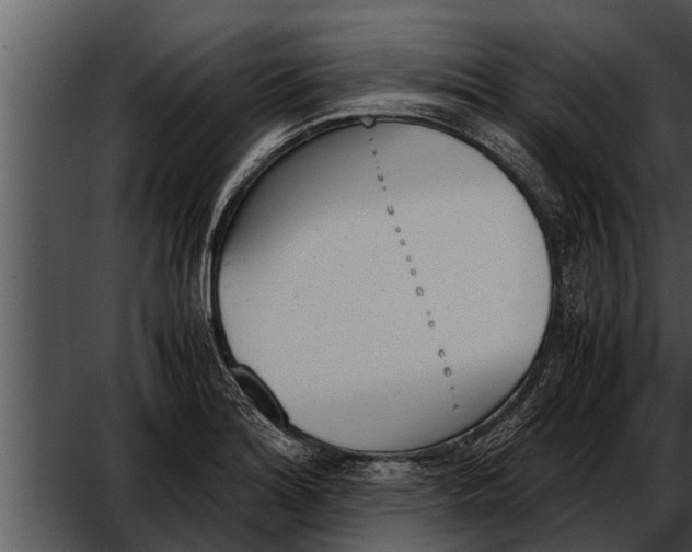 X0000052611180200507160029