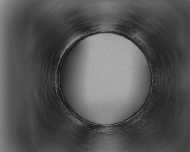 X0000052611182200507160029