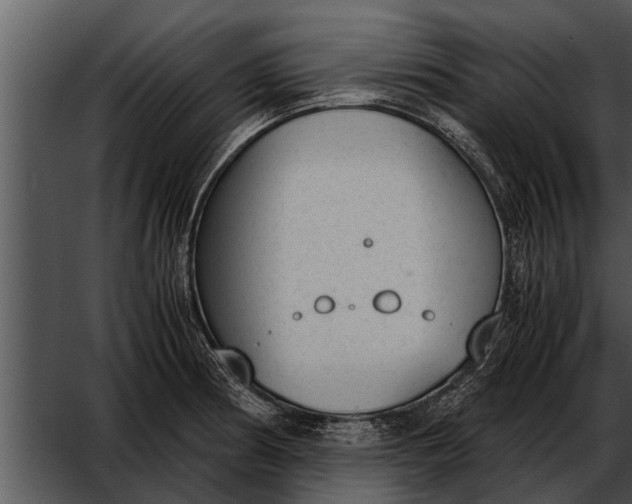 X0000052611186200507160029